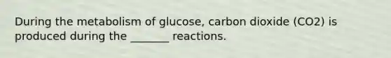 During the metabolism of glucose, carbon dioxide (CO2) is produced during the _______ reactions.