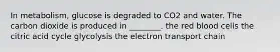 In metabolism, glucose is degraded to CO2 and water. The carbon dioxide is produced in ________. the red blood cells the citric acid cycle glycolysis the electron transport chain