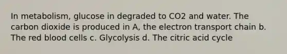 In metabolism, glucose in degraded to CO2 and water. The carbon dioxide is produced in A, the electron transport chain b. The red blood cells c. Glycolysis d. The citric acid cycle