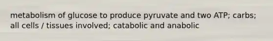 metabolism of glucose to produce pyruvate and two ATP; carbs; all cells / tissues involved; catabolic and anabolic