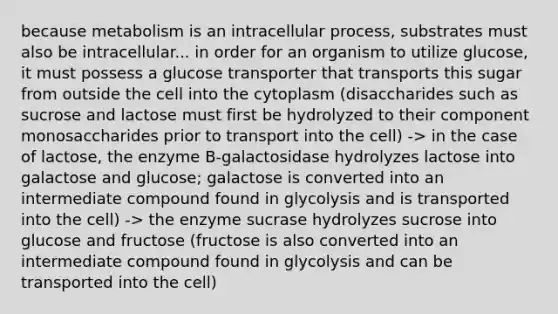 because metabolism is an intracellular process, substrates must also be intracellular... in order for an organism to utilize glucose, it must possess a glucose transporter that transports this sugar from outside the cell into the cytoplasm (disaccharides such as sucrose and lactose must first be hydrolyzed to their component monosaccharides prior to transport into the cell) -> in the case of lactose, the enzyme B-galactosidase hydrolyzes lactose into galactose and glucose; galactose is converted into an intermediate compound found in glycolysis and is transported into the cell) -> the enzyme sucrase hydrolyzes sucrose into glucose and fructose (fructose is also converted into an intermediate compound found in glycolysis and can be transported into the cell)