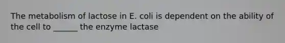 The metabolism of lactose in E. coli is dependent on the ability of the cell to ______ the enzyme lactase