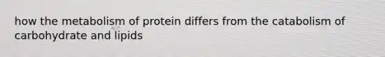 how the metabolism of protein differs from the catabolism of carbohydrate and lipids