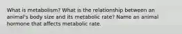 What is metabolism? What is the relationship between an animal's body size and its metabolic rate? Name an animal hormone that affects metabolic rate.