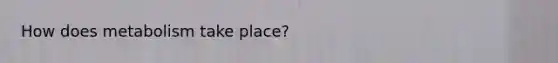 How does metabolism take place?