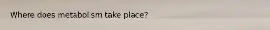 Where does metabolism take place?