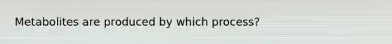 Metabolites are produced by which process?