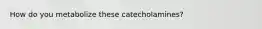 How do you metabolize these catecholamines?