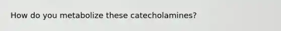 How do you metabolize these catecholamines?