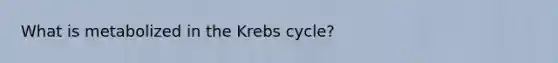 What is metabolized in the Krebs cycle?