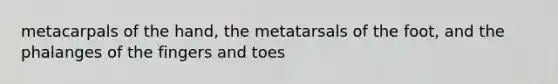 metacarpals of the hand, the metatarsals of the foot, and the phalanges of the fingers and toes