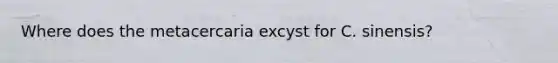 Where does the metacercaria excyst for C. sinensis?