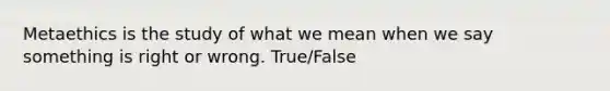 Metaethics is the study of what we mean when we say something is right or wrong. True/False