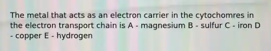 The metal that acts as an electron carrier in the cytochomres in the electron transport chain is A - magnesium B - sulfur C - iron D - copper E - hydrogen