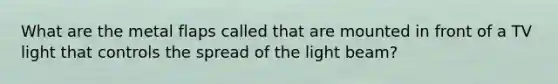 What are the metal flaps called that are mounted in front of a TV light that controls the spread of the light beam?