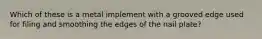 Which of these is a metal implement with a grooved edge used for filing and smoothing the edges of the nail plate?