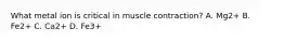 What metal ion is critical in muscle contraction? A. Mg2+ B. Fe2+ C. Ca2+ D. Fe3+