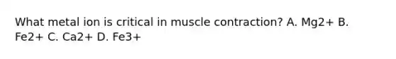 What metal ion is critical in muscle contraction? A. Mg2+ B. Fe2+ C. Ca2+ D. Fe3+