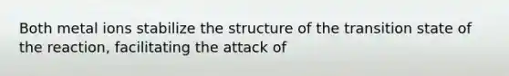 Both metal ions stabilize the structure of the transition state of the reaction, facilitating the attack of