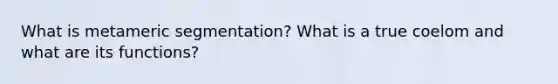 What is metameric segmentation? What is a true coelom and what are its functions?