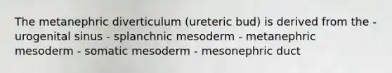 The metanephric diverticulum (ureteric bud) is derived from the - urogenital sinus - splanchnic mesoderm - metanephric mesoderm - somatic mesoderm - mesonephric duct