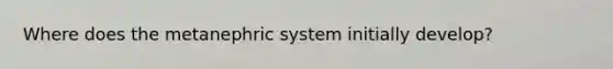 Where does the metanephric system initially develop?