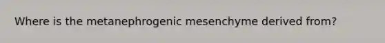 Where is the metanephrogenic mesenchyme derived from?