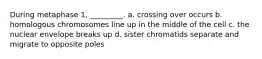 During metaphase 1, _________. a. crossing over occurs b. homologous chromosomes line up in the middle of the cell c. the nuclear envelope breaks up d. sister chromatids separate and migrate to opposite poles