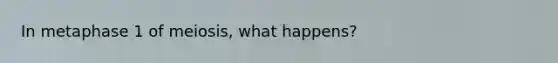 In metaphase 1 of meiosis, what happens?