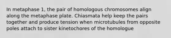 In metaphase 1, the pair of homologous chromosomes align along the metaphase plate. Chiasmata help keep the pairs together and produce tension when microtubules from opposite poles attach to sister kinetochores of the homologue