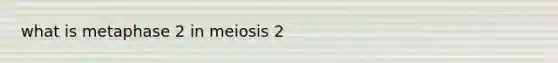 what is metaphase 2 in meiosis 2