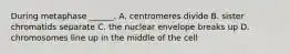 During metaphase ______. A. centromeres divide B. sister chromatids separate C. the nuclear envelope breaks up D. chromosomes line up in the middle of the cell