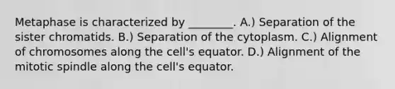 Metaphase is characterized by ________. A.) Separation of the sister chromatids. B.) Separation of the cytoplasm. C.) Alignment of chromosomes along the cell's equator. D.) Alignment of the mitotic spindle along the cell's equator.