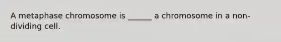 A metaphase chromosome is ______ a chromosome in a non-dividing cell.