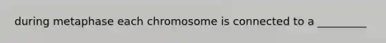 during metaphase each chromosome is connected to a _________