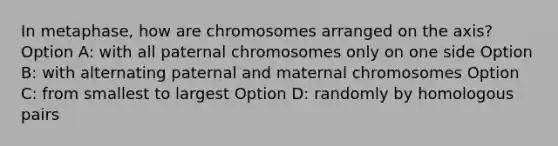 In metaphase, how are chromosomes arranged on the axis? Option A: with all paternal chromosomes only on one side Option B: with alternating paternal and maternal chromosomes Option C: from smallest to largest Option D: randomly by homologous pairs