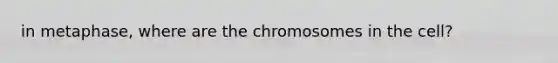 in metaphase, where are the chromosomes in the cell?