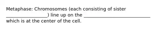 Metaphase: Chromosomes (each consisting of sister __________________) line up on the _____________________________ which is at the center of the cell.