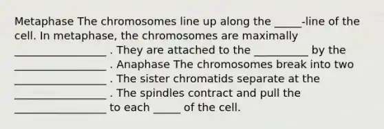 Metaphase The chromosomes line up along the _____-line of the cell. In metaphase, the chromosomes are maximally _________________ . They are attached to the __________ by the _________________ . Anaphase The chromosomes break into two _________________ . The sister chromatids separate at the _________________ . The spindles contract and pull the _________________ to each _____ of the cell.