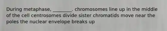 During metaphase, ________. chromosomes line up in the middle of the cell centrosomes divide sister chromatids move near the poles the nuclear envelope breaks up