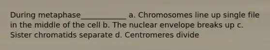 During metaphase____________ a. Chromosomes line up single file in the middle of the cell b. The nuclear envelope breaks up c. Sister chromatids separate d. Centromeres divide