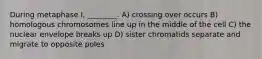 During metaphase I, ________. A) crossing over occurs B) homologous chromosomes line up in the middle of the cell C) the nuclear envelope breaks up D) sister chromatids separate and migrate to opposite poles