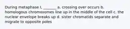 During metaphase I, _______ a. crossing over occurs b. homologous chromosomes line up in the middle of the cell c. the nuclear envelope breaks up d. sister chromatids separate and migrate to opposite poles