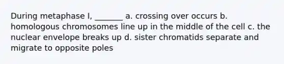 During metaphase I, _______ a. crossing over occurs b. homologous chromosomes line up in the middle of the cell c. the nuclear envelope breaks up d. sister chromatids separate and migrate to opposite poles