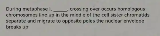 During metaphase I, ______. crossing over occurs homologous chromosomes line up in the middle of the cell sister chromatids separate and migrate to opposite poles the nuclear envelope breaks up