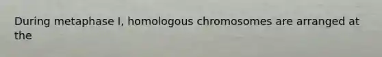 During metaphase I, homologous chromosomes are arranged at the