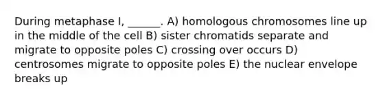 During metaphase I, ______. A) homologous chromosomes line up in the middle of the cell B) sister chromatids separate and migrate to opposite poles C) crossing over occurs D) centrosomes migrate to opposite poles E) the nuclear envelope breaks up