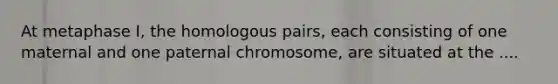 At metaphase I, the homologous pairs, each consisting of one maternal and one paternal chromosome, are situated at the ....