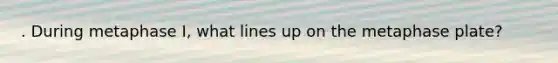 . During metaphase I, what lines up on the metaphase plate?