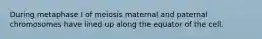 During metaphase I of meiosis maternal and paternal chromosomes have lined up along the equator of the cell.